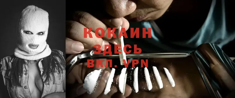 Cocaine 97%  Пудож 